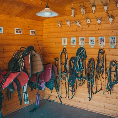 Apartment Marin - Inselhof *