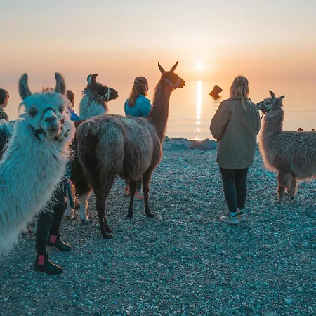 Apartment Marin - Inselhof Fehmarn