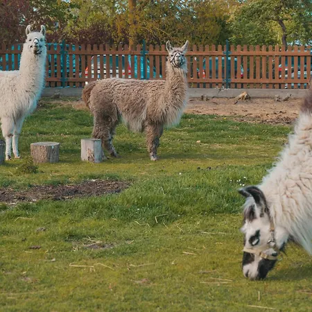 Marin - Inselhof Apartment Fehmarn