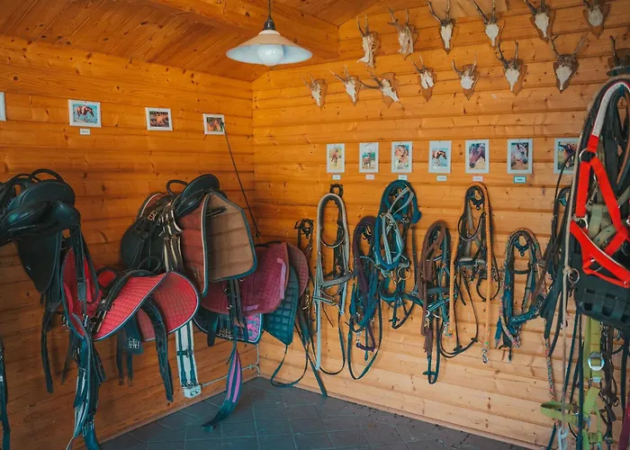 شقة Marin - Inselhof *