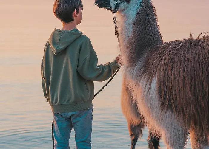 Marin - Inselhof شقة *